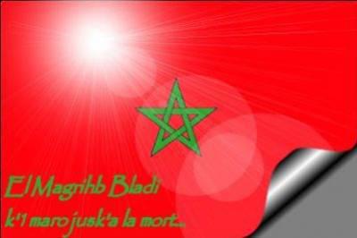 toodo@hotmail.fr